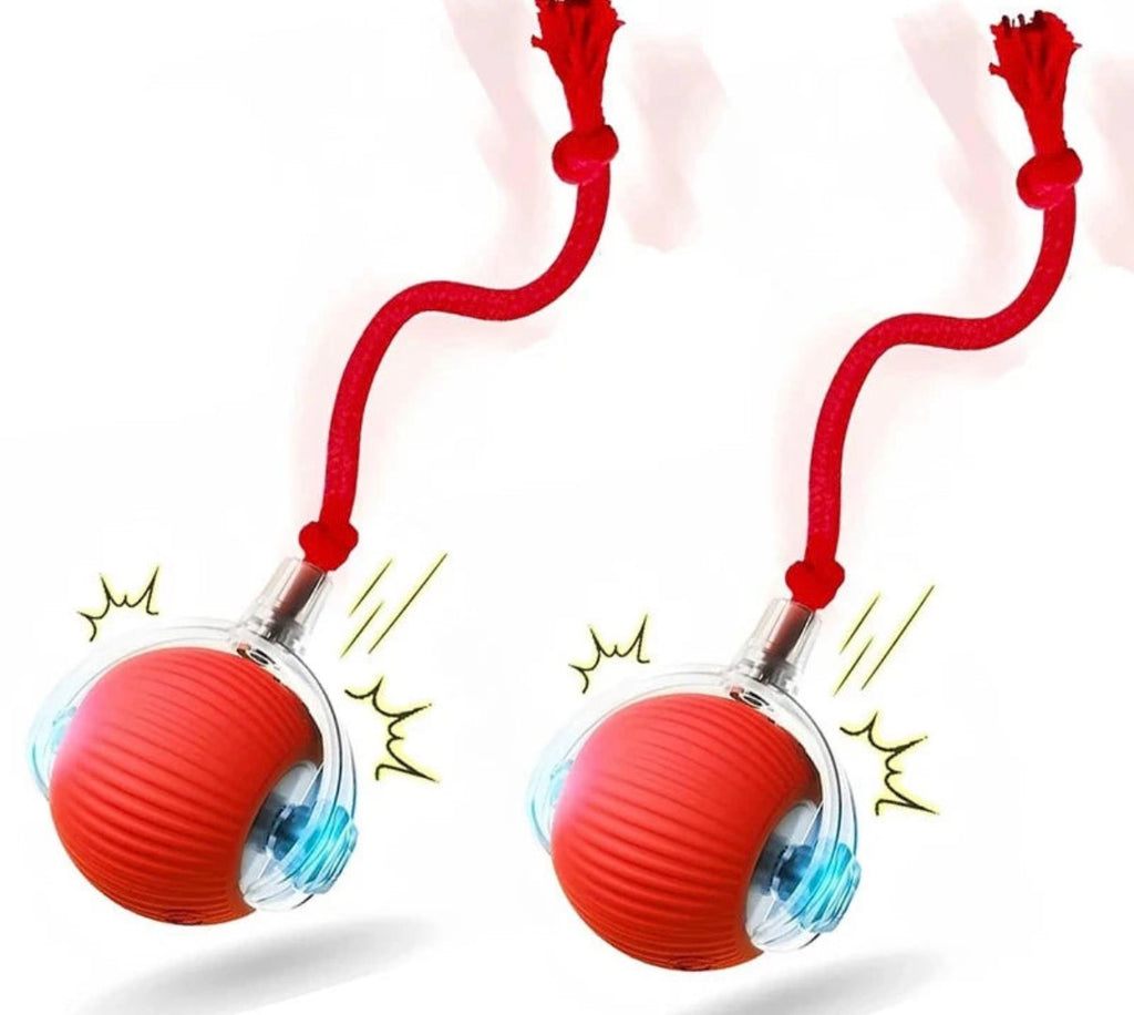 New and Improved Interactive Dog Ball Toy. Automatic Rolling Dog Ball Rechargeable,Smart Puppy Interactive Toy Balls for Dogs.