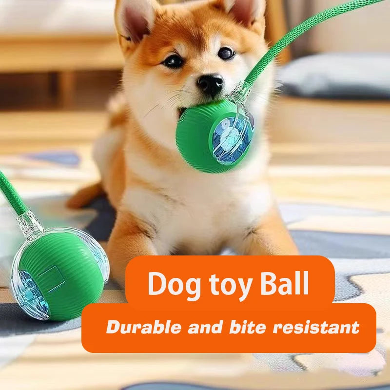 New and Improved Interactive Dog Ball Toy. Automatic Rolling Dog Ball Rechargeable,Smart Puppy Interactive Toy Balls for Dogs.