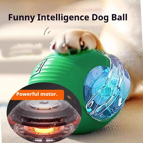 New and Improved Interactive Dog Ball Toy. Automatic Rolling Dog Ball Rechargeable,Smart Puppy Interactive Toy Balls for Dogs.