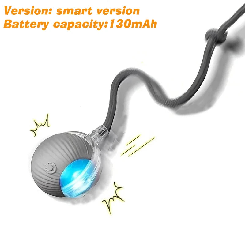 New and Improved Interactive Dog Ball Toy. Automatic Rolling Dog Ball Rechargeable,Smart Puppy Interactive Toy Balls for Dogs.