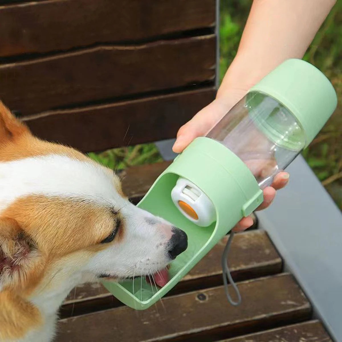 On-the-Go Hydration Bottle for Dogs, Puppies, Pets. Travel with Mess Free-Free Walks.
