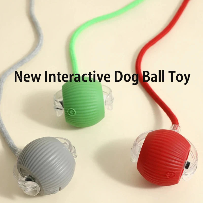 New and Improved Interactive Dog Ball Toy. Automatic Rolling Dog Ball Rechargeable,Smart Puppy Interactive Toy Balls for Dogs.