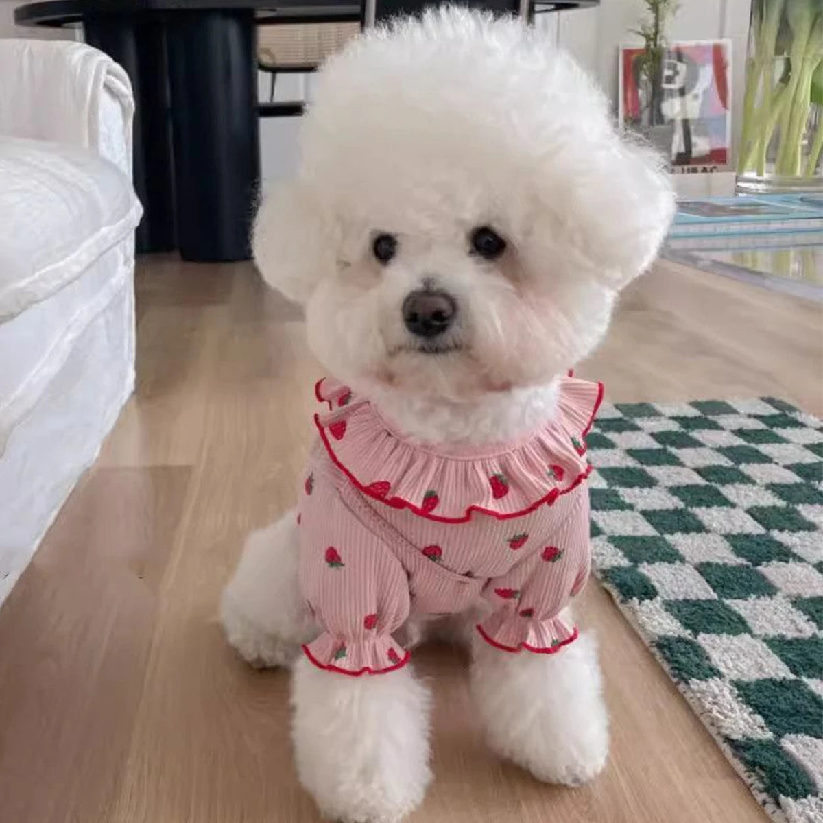 Cute Strawberry Dog Clothes. Great for Summer Breathable Clothing. Ruffled Collar Pet Shirt.