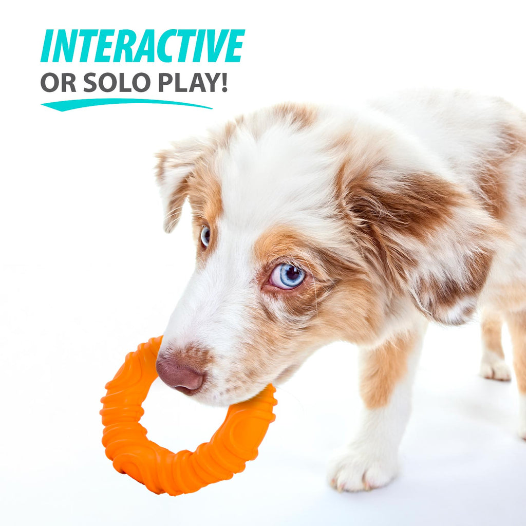 Toy Ring, Natural Rubber Dog Chew Toy for Tug, Fetch & Dental Support